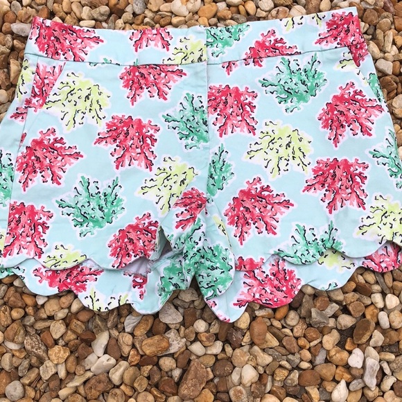 Crown & Ivy sz 8 mint green reef scalloped shorts - Picture 2 of 6